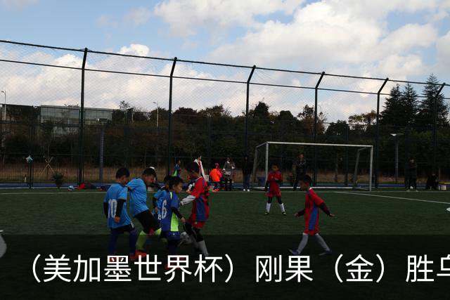 （美加墨世界杯）刚果（金）胜乌兹别克斯坦晋级 韩国无缘32强